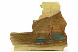 Free-Standing, Gary Green Jasper (Larsonite) Bog Wood - Oregon #334832-1